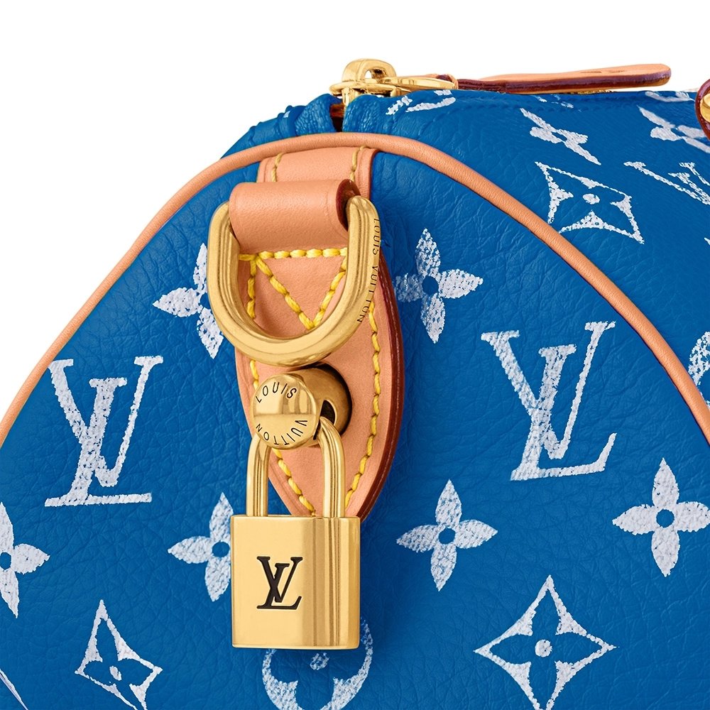 Louis Vuitton Bags M24424 25X15X15cm