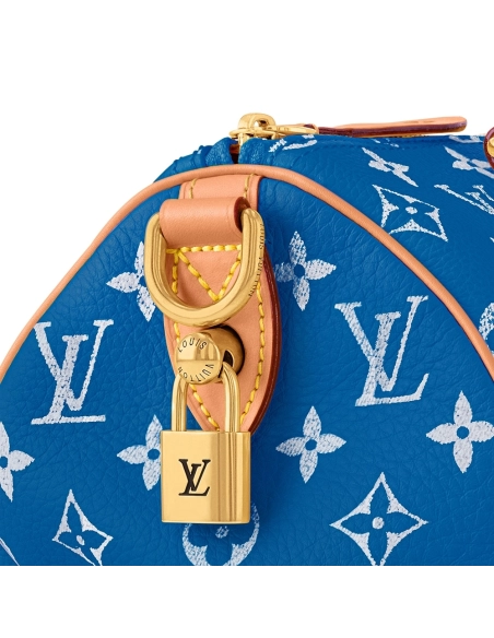Louis Vuitton Bags M24424 25X15X15cm