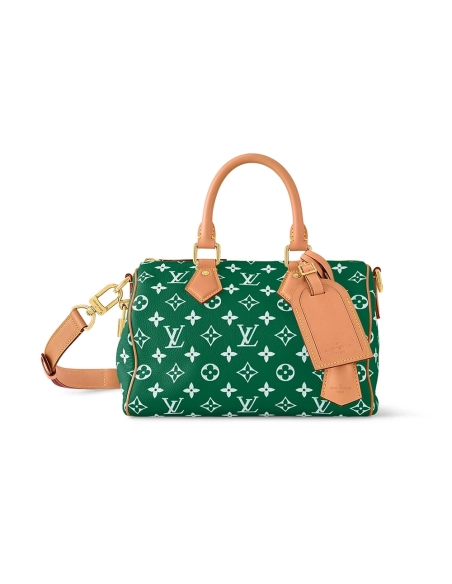 Louis Vuitton Bags M24423 25X15X15cm