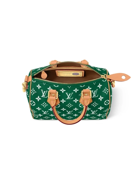 Louis Vuitton Bags M24423 25X15X15cm