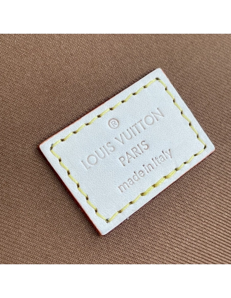 Louis Vuitton Bags M43689 22.4X8.5X14cm