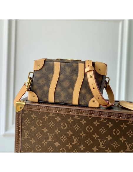 Louis Vuitton Bags M81580 22.5X14X5cm