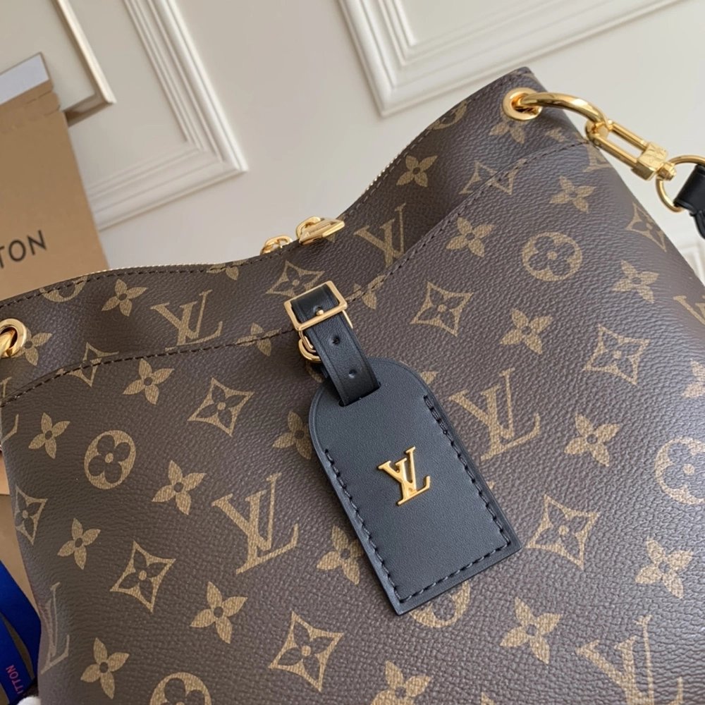 Louis Vuitton Bags M45353 28X25X9cm