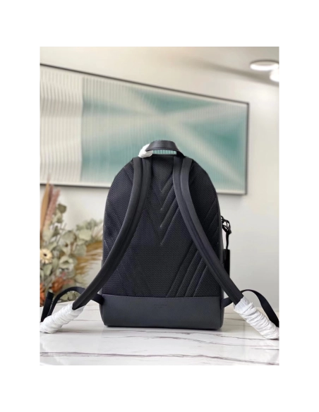 Louis Vuitton Bags M57079 43X30X14cm