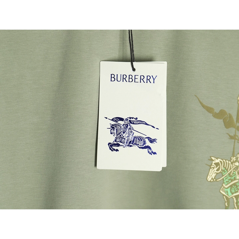 Burberry Warhorse Logo Colorblock Foam Print Short Sleeve T-Shirt TSK1,Burberry