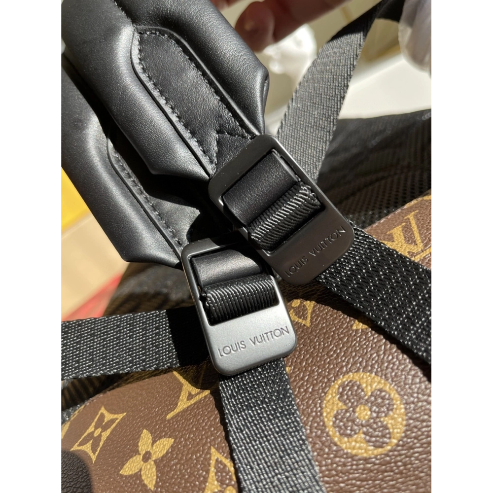 Louis Vuitton Bags M45335 32X42X15cm
