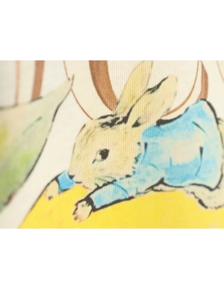 Gucci Peter Rabbit crew neck short sleeves,Gucci T Shirt,Tshirt,APPAREL