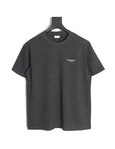 Dior Embroidered Lettering Grey Short Sleeve TShirt,Dior T Shirt,Tshirt,Hiqh quality low price,free shipping