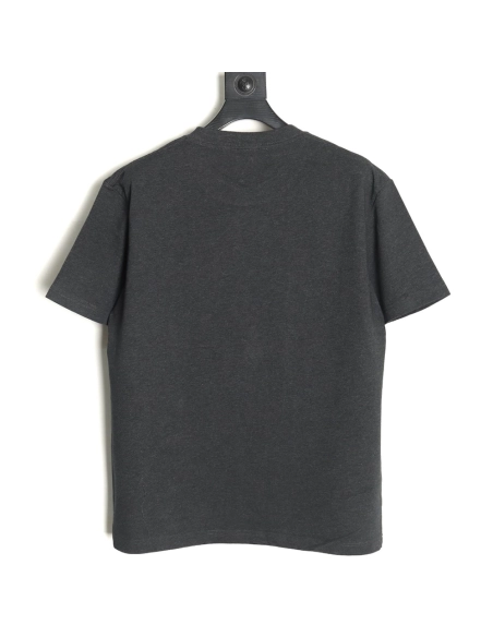 Dior Embroidered Lettering Grey Short Sleeve TShirt,Dior T Shirt,Tshirt,Hiqh quality low price,free shipping
