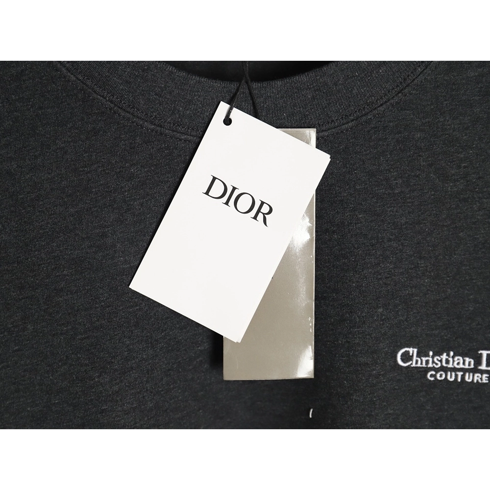 Dior Embroidered Lettering Grey Short Sleeve TShirt,Dior T Shirt,Tshirt,Hiqh quality low price,free shipping