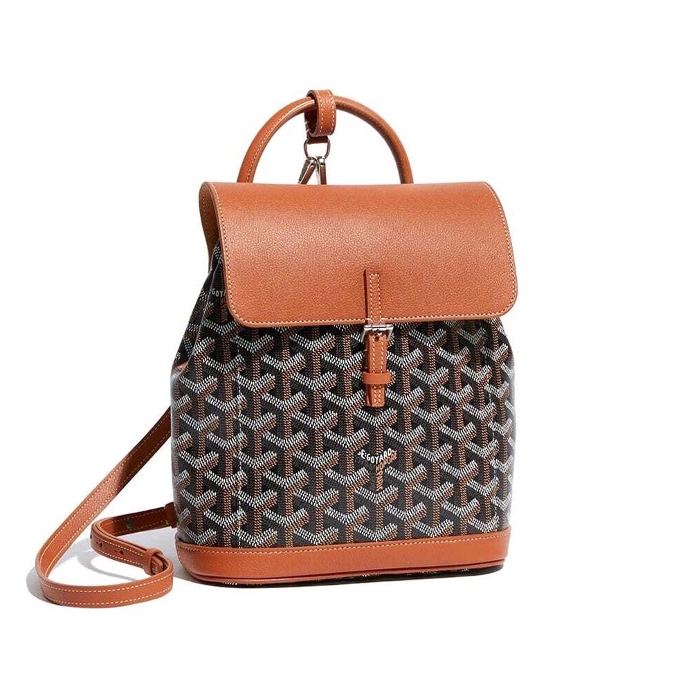 Goyard Alpin Mini Bags Y50CL50P 23X9.5X19cm