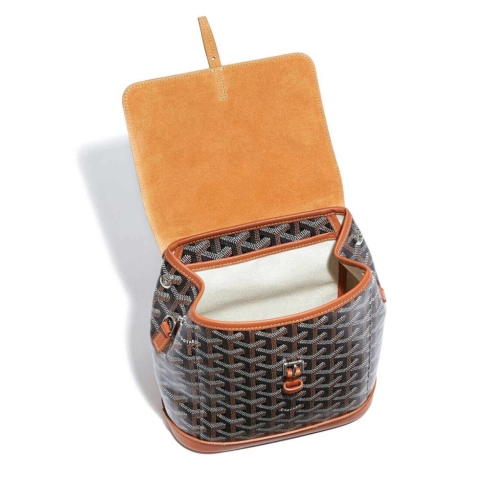 Goyard Alpin Mini Bags Y50CL50P 23X9.5X19cm