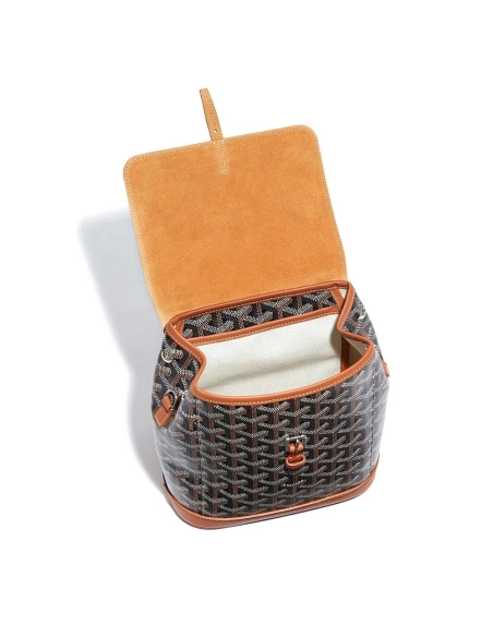 Goyard Alpin Mini Bags Y50CL50P 23X9.5X19cm