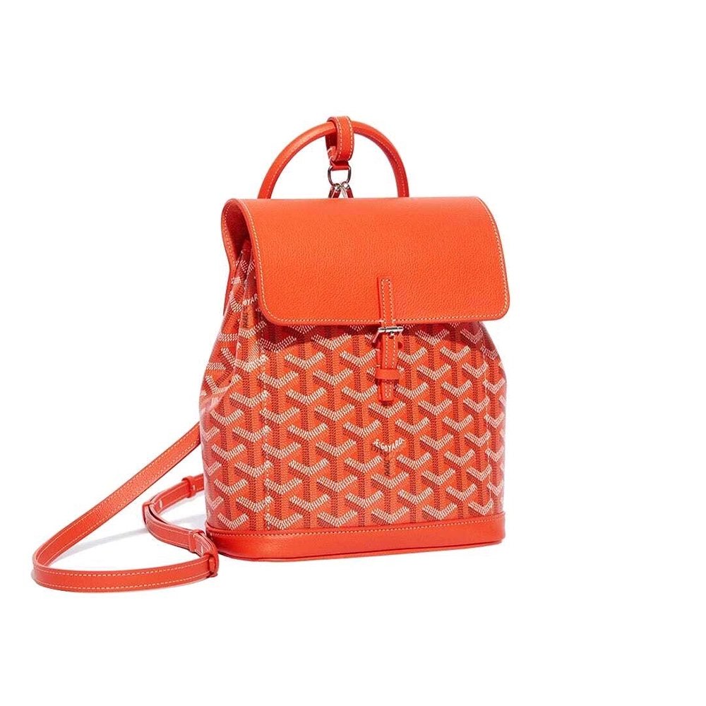 Goyard Alpin Mini Bags Y50CL50P 23X9.5X19cm
