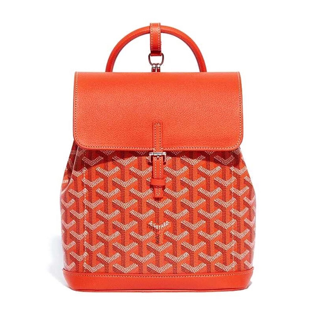 Goyard Alpin Mini Bags Y50CL50P 23X9.5X19cm