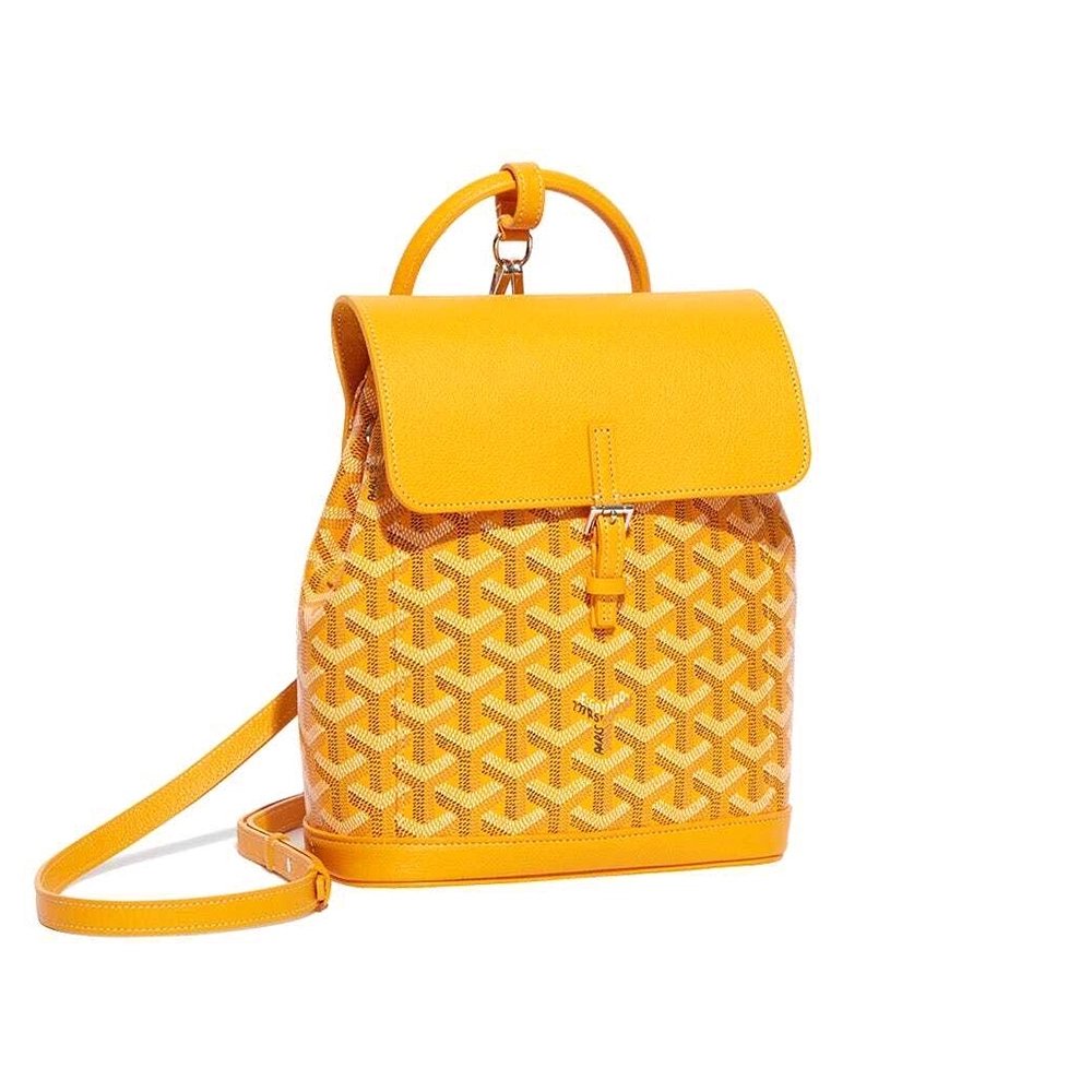 Goyard Alpin Mini Bags Y50CL50P 23X9.5X19cm