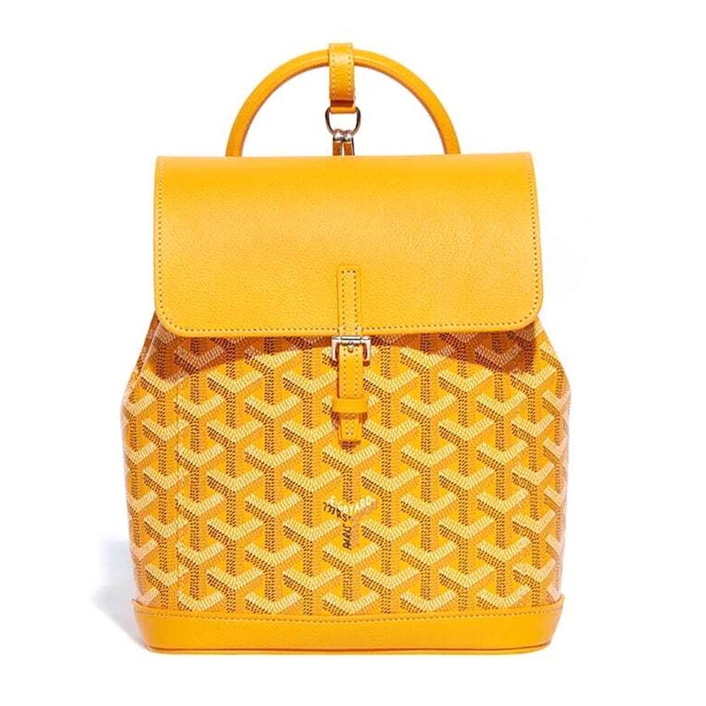 Goyard Alpin Mini Bags Y50CL50P 23X9.5X19cm