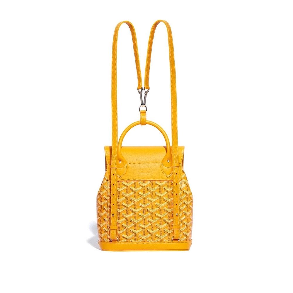 Goyard Alpin Mini Bags Y50CL50P 23X9.5X19cm