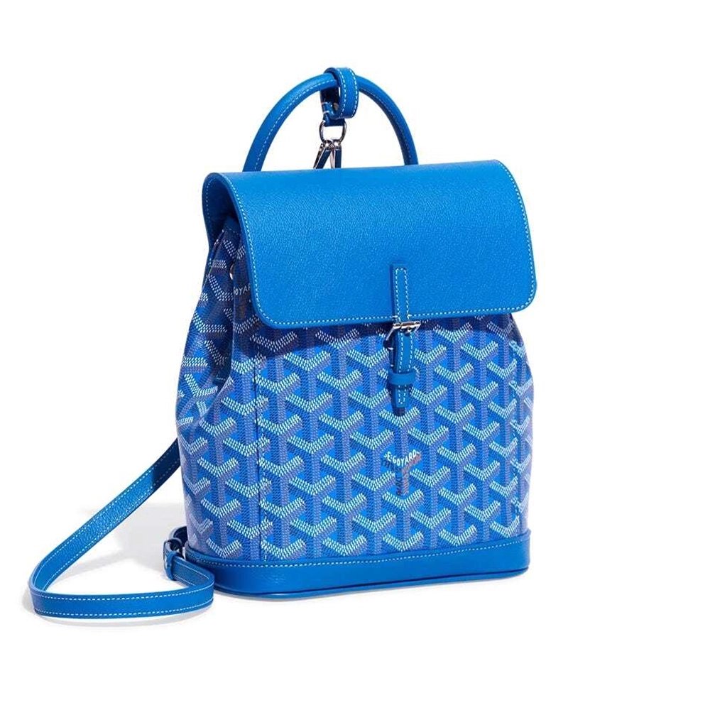 Goyard Alpin Mini Bags Y50CL50P 23X9.5X19cm
