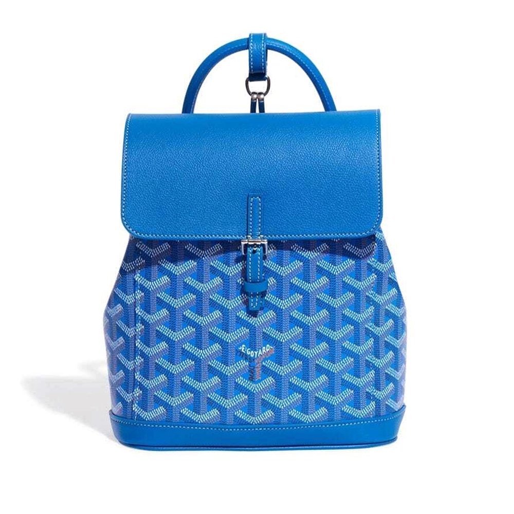 Goyard Alpin Mini Bags Y50CL50P 23X9.5X19cm