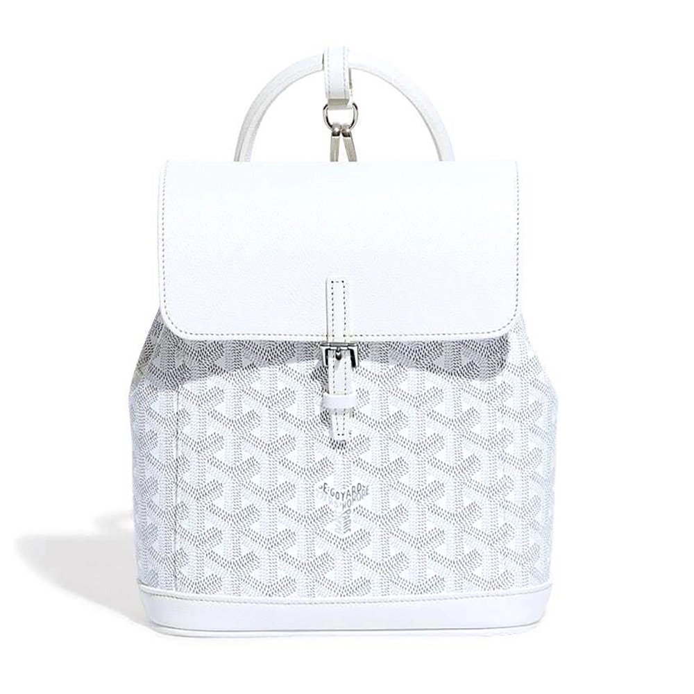 Goyard Alpin Mini Bags Y50CL50P 23X9.5X19cm