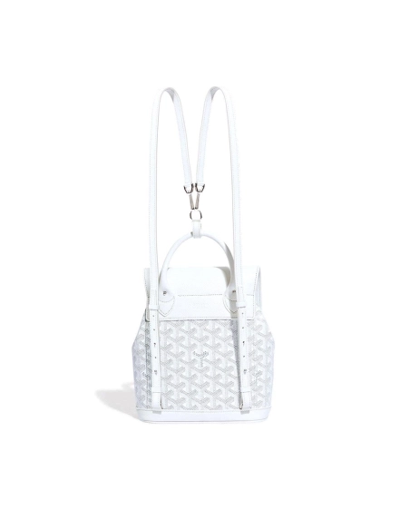Goyard Alpin Mini Bags Y50CL50P 23X9.5X19cm