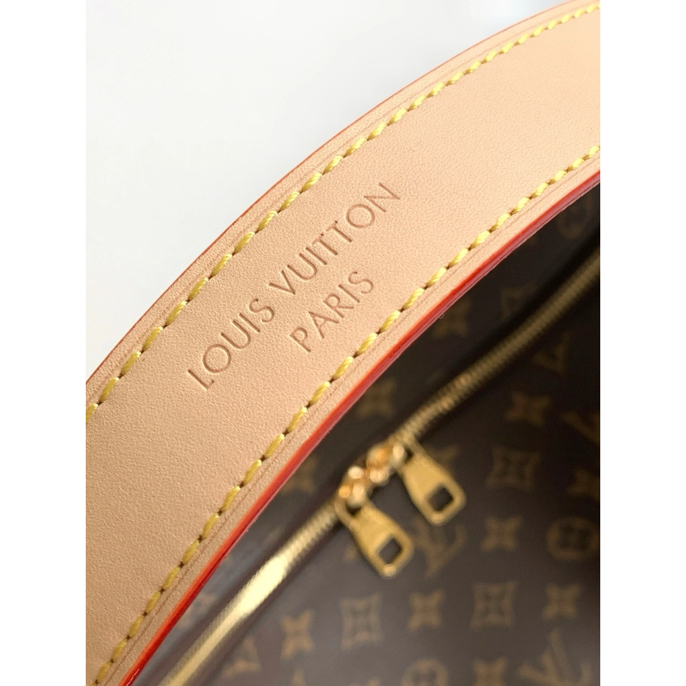 Louis Vuitton Bags,BAGS,LV-M12098250428