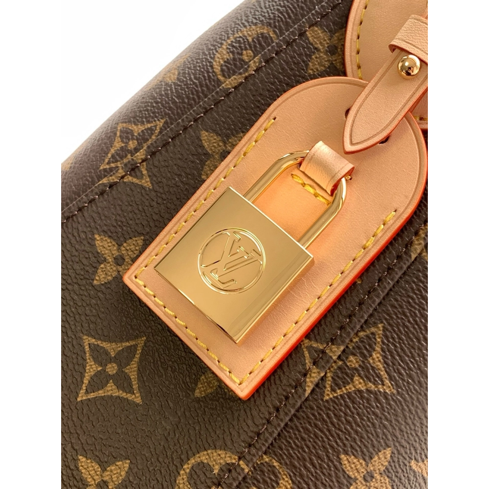 Louis Vuitton Bags,BAGS,LV-M12098250428