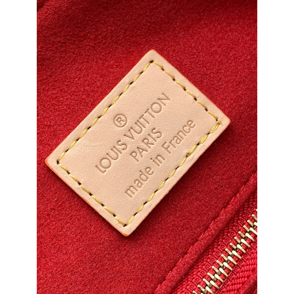 Louis Vuitton Bags,BAGS,LV-M12098250428