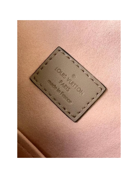 Louis Vuitton Bags,BAGS,LV-M45410250428