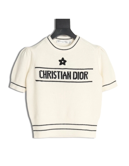 Dior T Shirt,Tshirt,APPAREL,DIOR-02250426