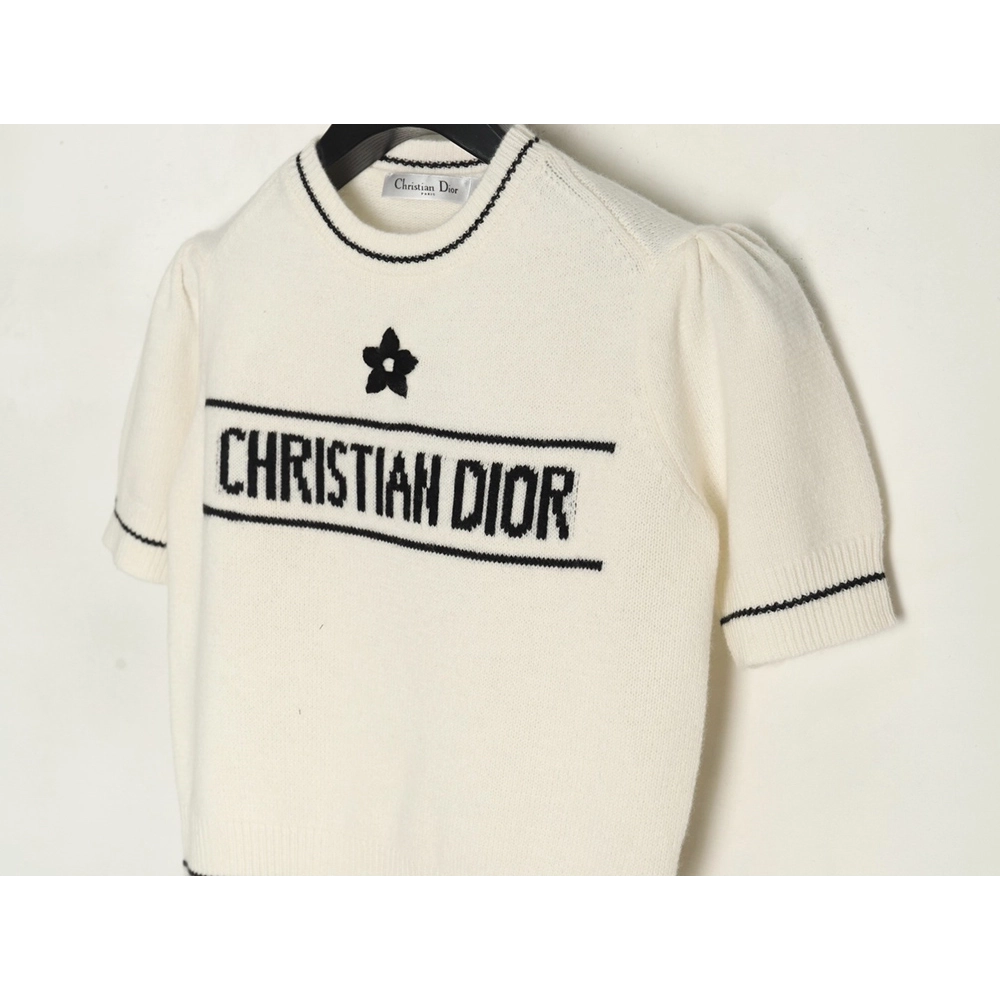 Dior T Shirt,Tshirt,APPAREL,DIOR-02250426