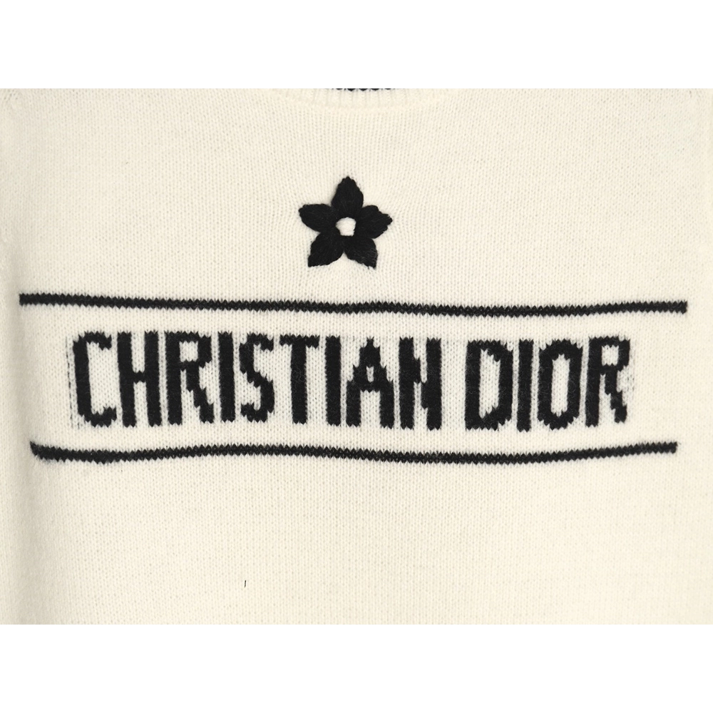 Dior T Shirt,Tshirt,APPAREL,DIOR-02250426