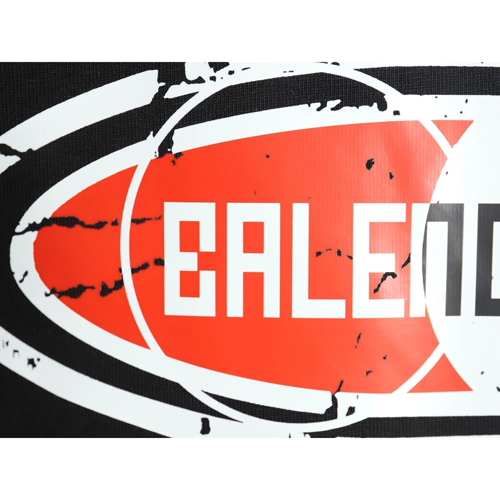 Balenciaga T Shirt,Tshirt,APPAREL,BLCG-56250406