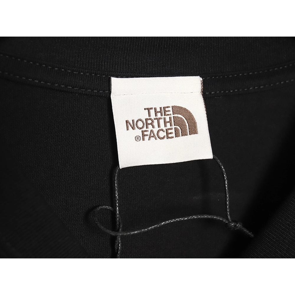 The North Face T Shirt,Tshirt,APPAREL,TNF-19250406