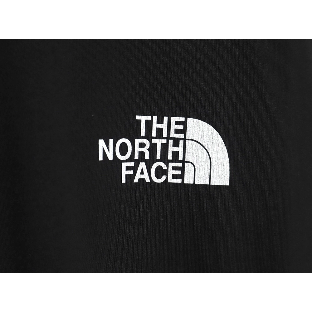 The North Face T Shirt,Tshirt,APPAREL,TNF-19250406