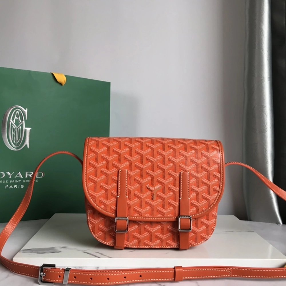 Goyard Bags 098049 21.5X13.5X9cm
