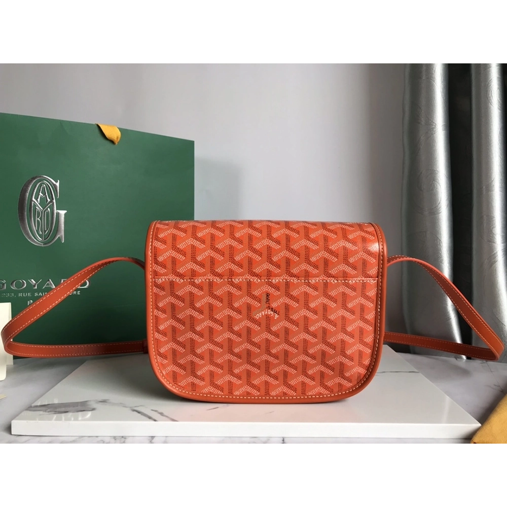 Goyard Bags 098049 21.5X13.5X9cm