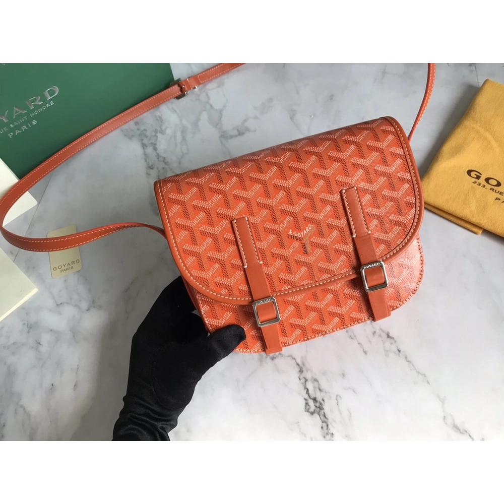 Goyard Bags 098049 21.5X13.5X9cm