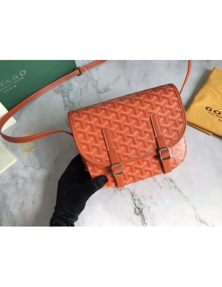 Goyard Bags 098049 21.5X13.5X9cm
