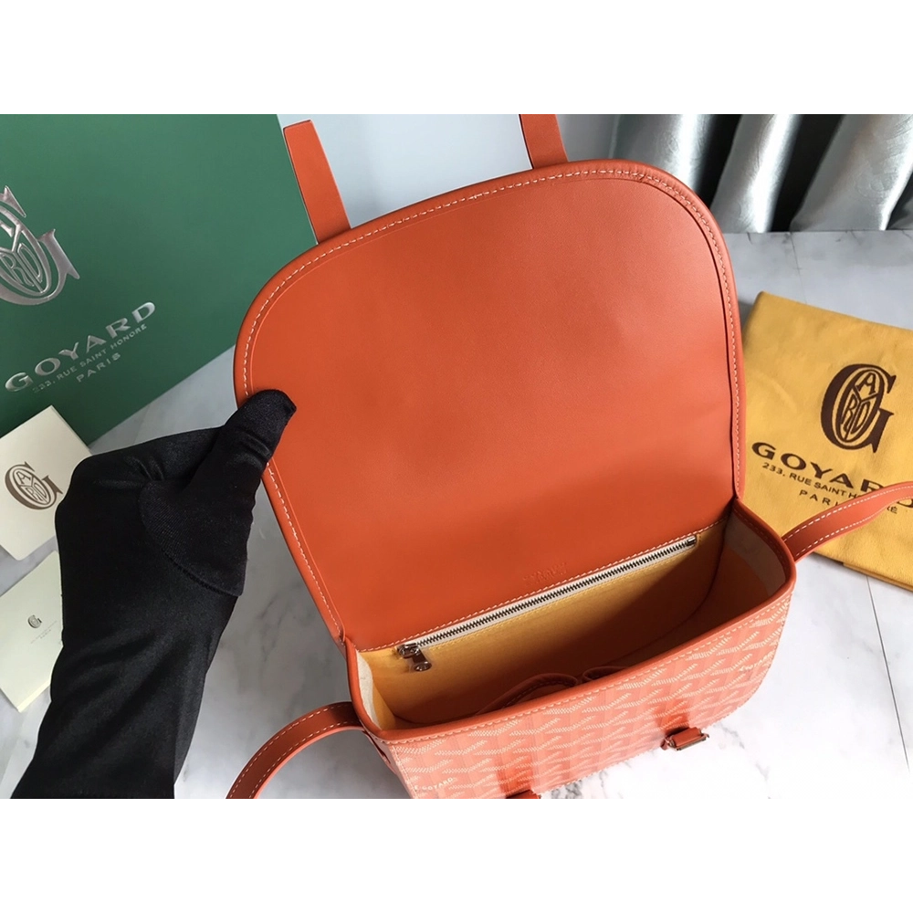 Goyard Bags 098049 21.5X13.5X9cm