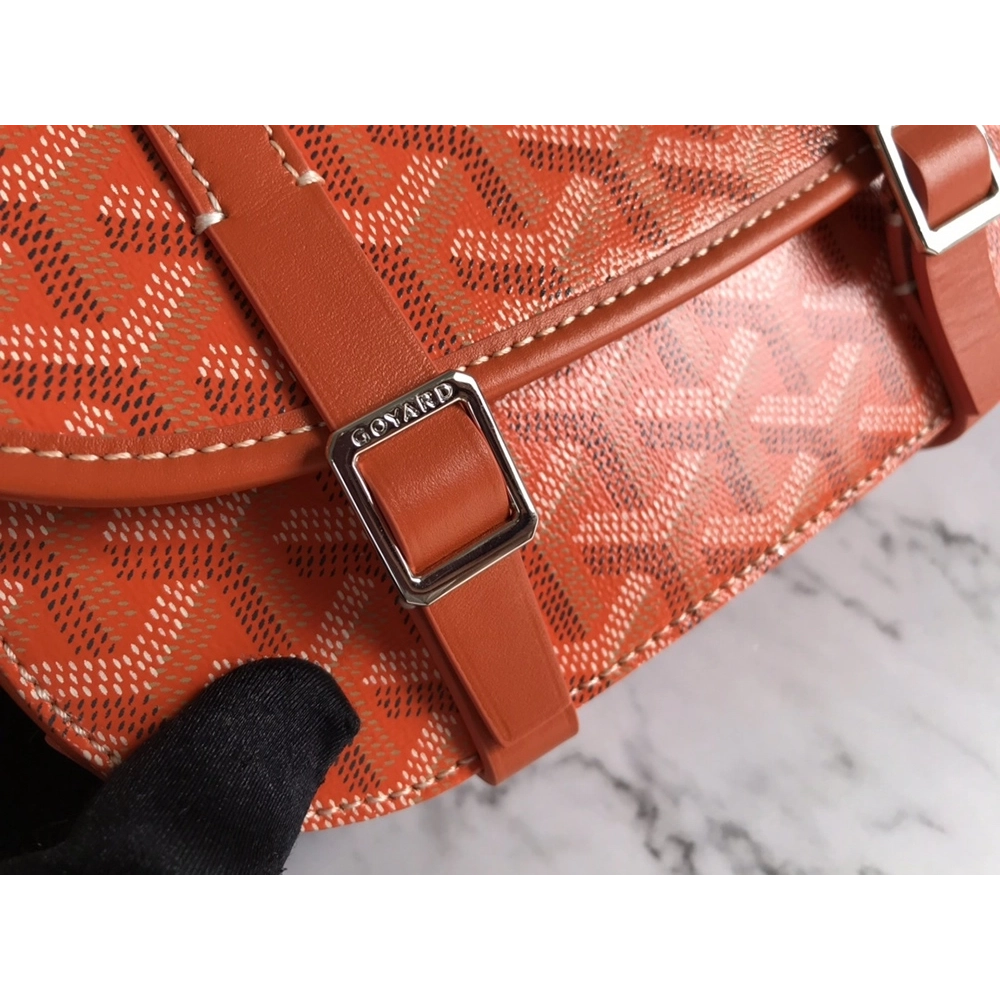Goyard Bags 098049 21.5X13.5X9cm