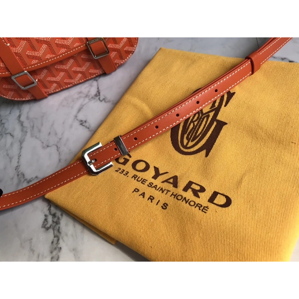 Goyard Bags 098049 21.5X13.5X9cm