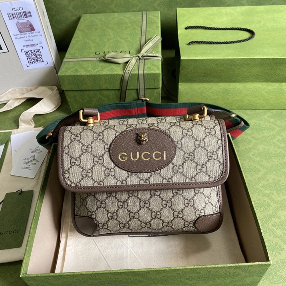 Gucci Bags 501050 22X16.5X4cm