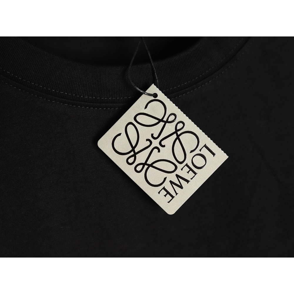 Loewe Rainbow Embroidered Round Neck Short Sleeve T-Shirt,Loewe