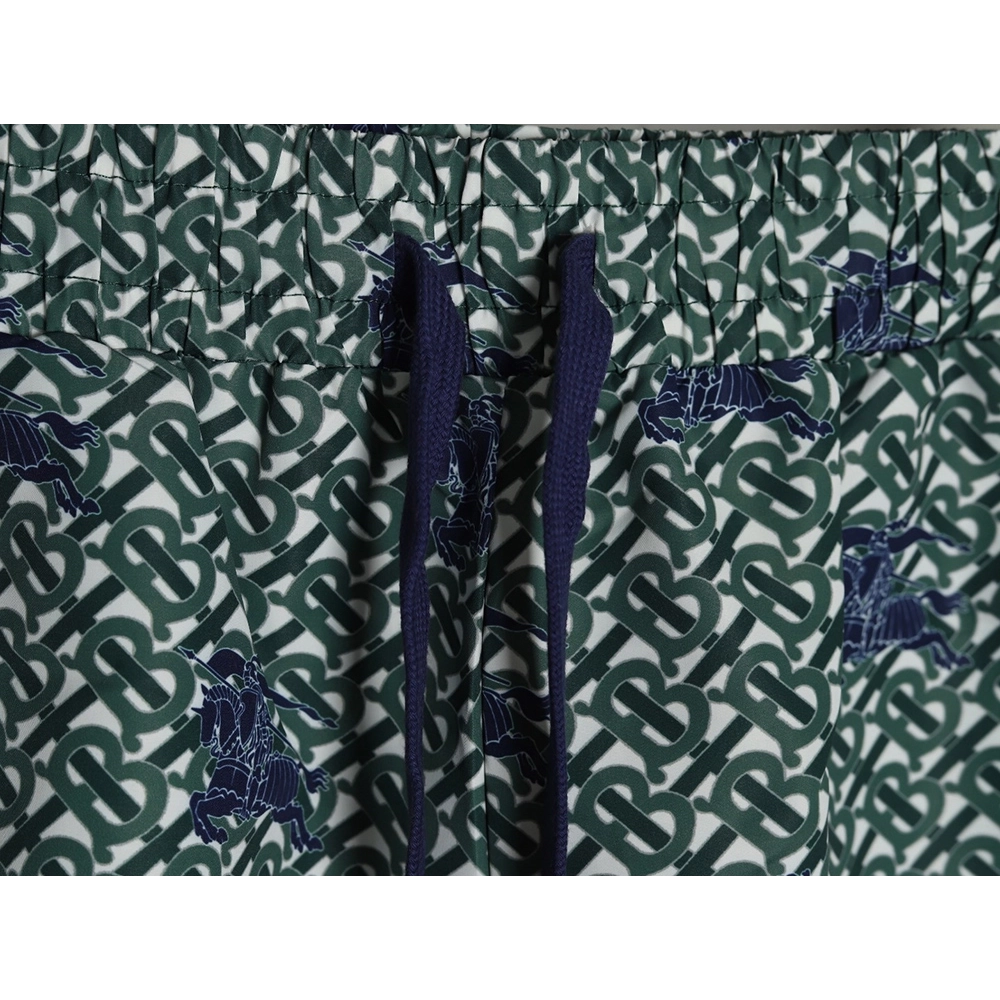 Burberry Warhorse Print Shorts TSK1,Burberry