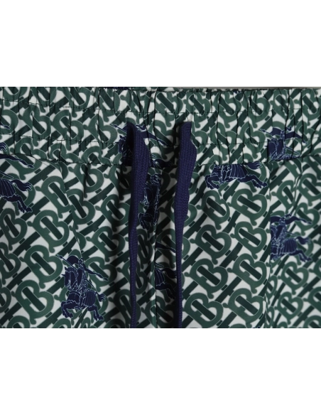 Burberry Warhorse Print Shorts TSK1,Burberry