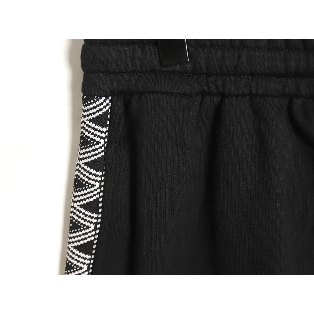 Loewe colorblock webbing logo embroidered shorts,Loewe
