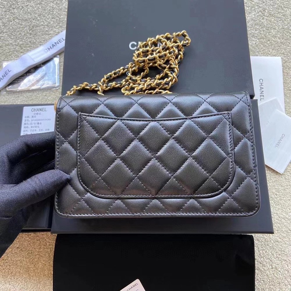 Chanel Bags Bags AP1450 19X13X4cm