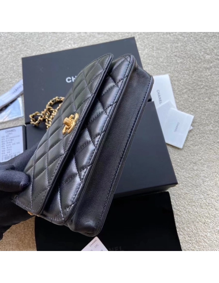 Chanel Bags Bags AP1450 19X13X4cm